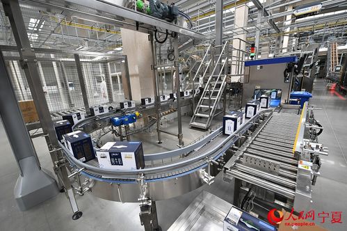 科技赋能，智造未来 探秘网络技术加持下的牛奶工厂